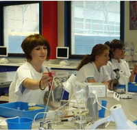 Northcote High School - Schools Australia