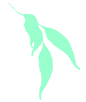 Horticultural Training Pty Ltd - Schools Australia