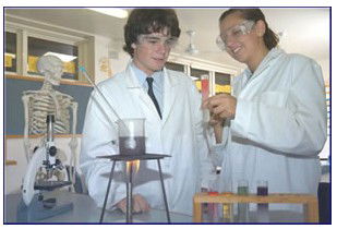 Auburn NSW Schools Australia