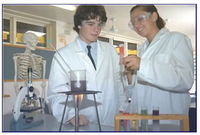 Auburn NSW Schools and Learning Schools Australia Schools Australia