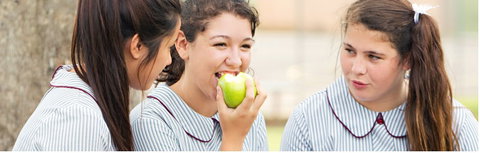 Mamre Anglican School - Schools Australia 4