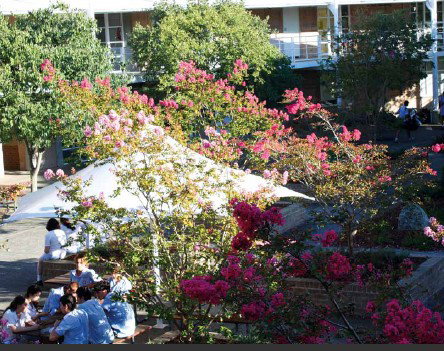 Moriah College - Schools Australia 1