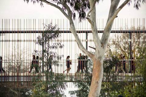 Our Lady Of Mercy College - Schools Australia 4