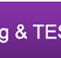 Institute of Continuing and Tesol - Schools Australia