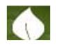SA COLLEGE OF NATURAL AND TRADITIONAL MEDICINE PTY LTD Adelaide City