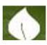 SA COLLEGE OF NATURAL AND TRADITIONAL MEDICINE PTY LTD - Schools Australia