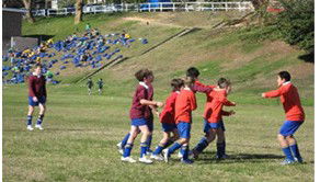 Waverley College - Schools Australia 5