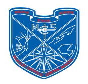 Mcauley Catholic Central School - Schools Australia