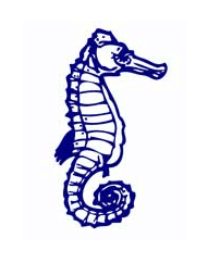 Albert Park Primary School - Schools Australia 0