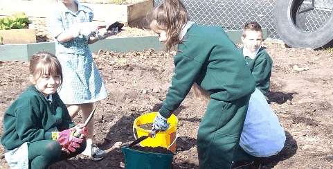 Chalcot Lodge Primary School - Schools Australia