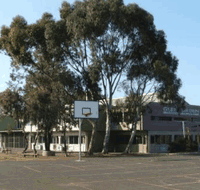 Glen Orden Primary School - Schools Australia