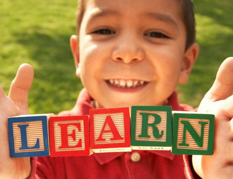 Casa Mia Montessori Community School (inc) - Schools Australia 1