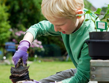 Casa Mia Montessori Community School (inc) - Schools Australia 3