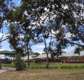 Clayton View Primary School - Schools Australia