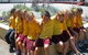 Osborne Primary School - thumb 0