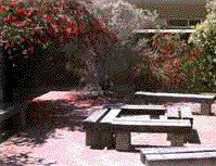 Cecil Andrews Senior High School - Schools Australia 0
