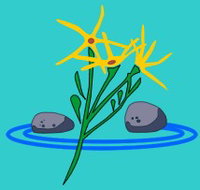 Rockingham Lakes Primary School