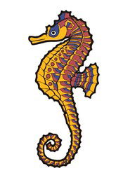 Seaview Downs SA Schools Australia