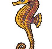 Seaview Downs Primary School - Schools Australia