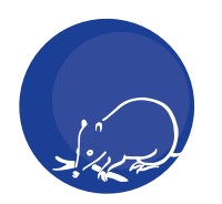 Mylor SA Schools Australia