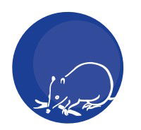 Mylor Primary School - Schools Australia 0