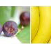 Beck Health  Nutrition - Schools Australia