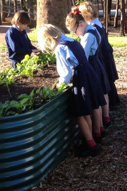 Good Shepherd Catholic Primary School Kelmscott - Schools Australia 3