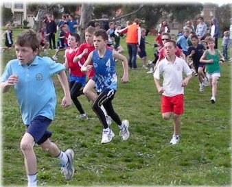 Westmeadows Primary School - Schools Australia 1