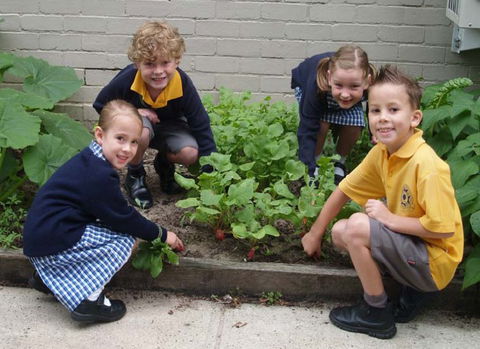 St Raphael's Catholic Primary School - Schools Australia 1
