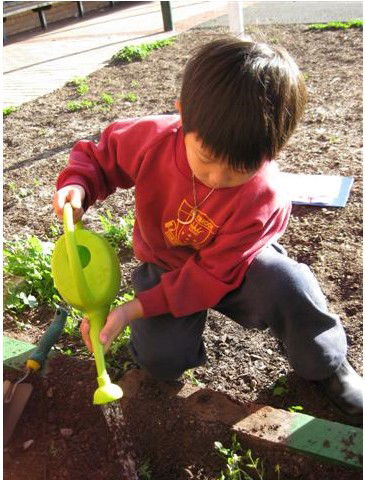 Christ The King Primary School Braybrook - Schools Australia 2
