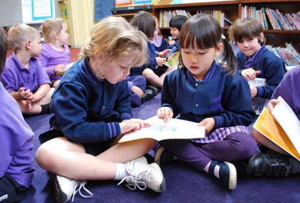 Caulfield South VIC Schools Australia