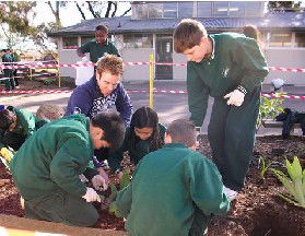St Albans North Primary School - Schools Australia 2