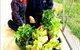 Stella Maris - thumb 3