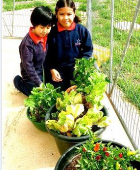 Stella Maris - Schools Australia 3