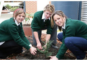 Aquinas College Ringwood - Schools Australia 2