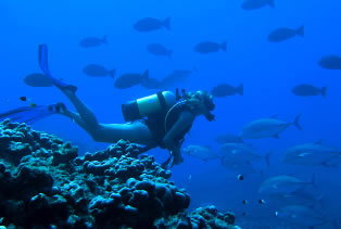 Aquatic Adventures Courses - Schools Australia 0