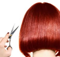 The Angel Hair  Beauty Institute- Hair  Beauty School Ballarat - Schools Australia