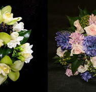 The Flower School Pty Ltd - Schools Australia