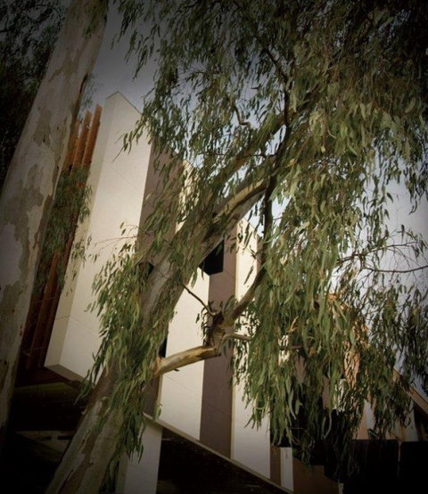 Alphington Grammar School - Schools Australia 4