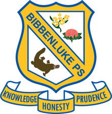 Bibbenluke NSW Schools Australia