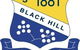 Black Hill Public School - thumb 0
