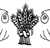 Bogan Gate Public School - Schools Australia