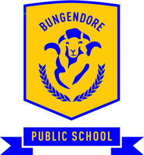 Bungendore Public School - Schools Australia 0