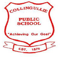 Collingullie Public School - Schools Australia