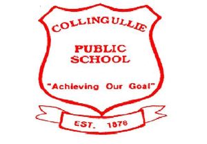 Collingullie Public School - Schools Australia 0