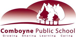 Comboyne Public School - Schools Australia 0
