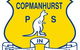 Copmanhurst Public School - thumb 0