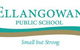 Ellangowan Public School - thumb 0
