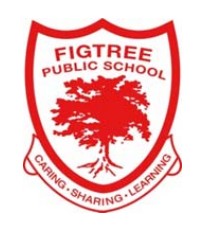Figtree Public School - Schools Australia 0
