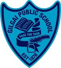 Gilgai Public School - Schools Australia 0